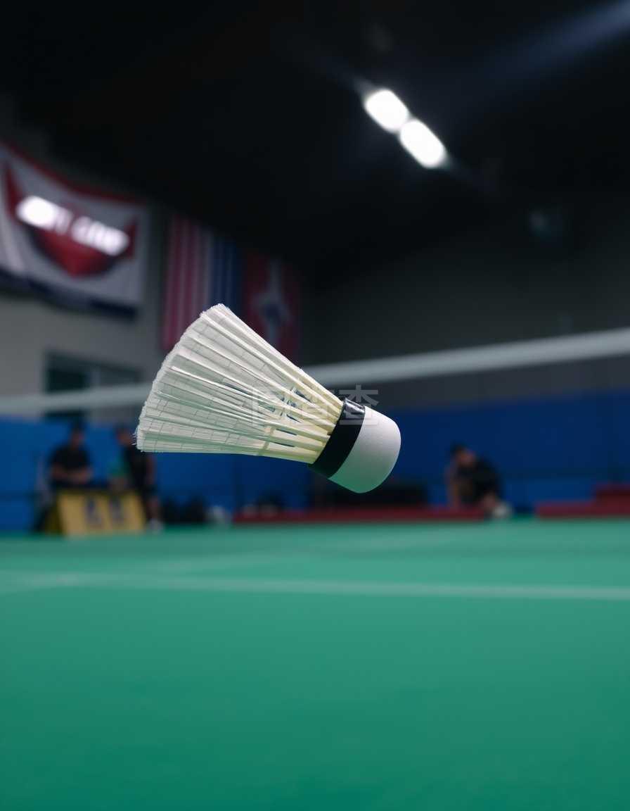 转会市场的 转会市场的