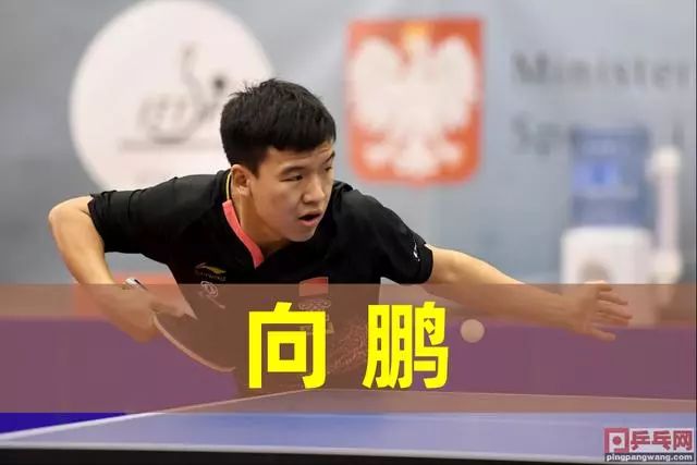 首轮的成功 首轮的成功